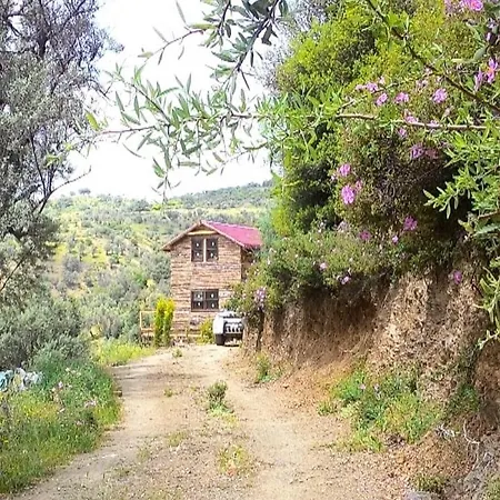 Σαλέ Vadievi
